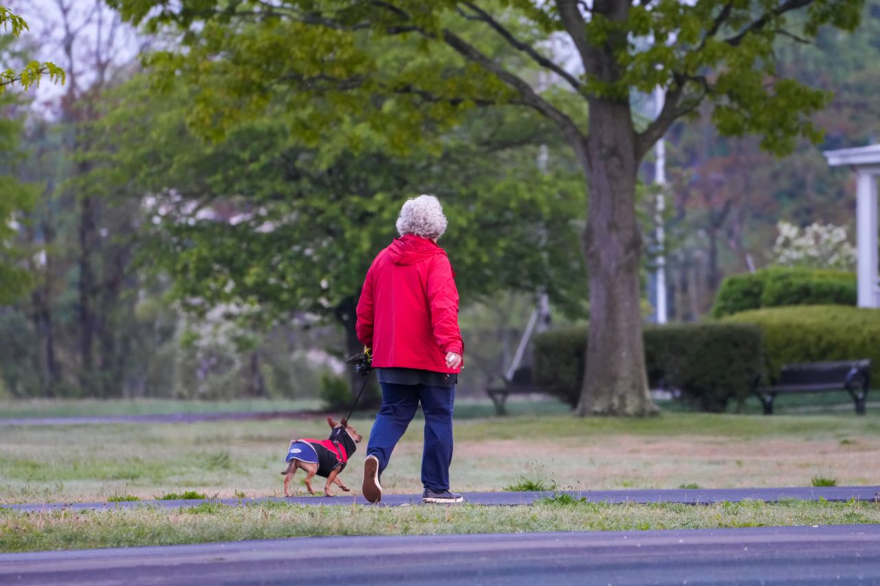 An old lady walking with her dog in a park